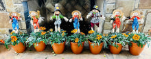 Load image into Gallery viewer, Gazania potted plant with Scarecrow
